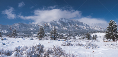 普特县,前山脉,松树,水平画幅,冬天,山,雪,无人,全景,科罗拉多州