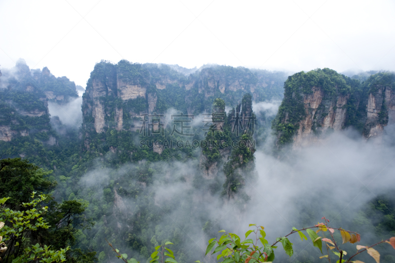 张家界,秘密,石英岩,喀斯特,原始主义,自然,水平画幅,地形,岩石,无人