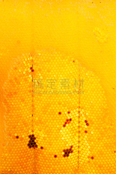 蜂箱,蜂蜜,麻疹乐队,彼得罗,beekeeper,蜂蜡,垂直画幅,梳子,夏天,白色