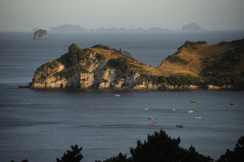 科罗曼德尔半岛,新西兰,cathedral cove,悬崖,南半球,水平画幅,枝繁叶茂,无人,夏天,新西兰北岛