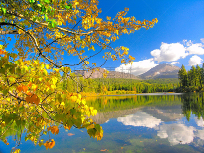 湖,叶子,莱森火山国家公园,黄色,石兰科常绿灌木,拉森山,圣米迦勒,自然,公园,水平画幅