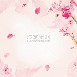 仅一朵花,背景,水彩画,樱之花,樱花,柔和色,柔和,粉色,水彩颜料,花朵