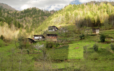 The Black Sea Region (Turkish: Karadeniz Bölgesi) is a geographical region of Turkey. It is bordered by the Marmara Region to the west, the Central Anatolia to the south, black sea to north.