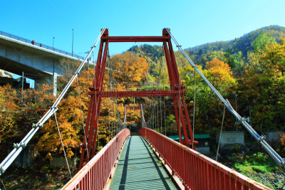 秋天,温泉,札幌,北海道,风景,黄色,红色,图像,叶子,足浴