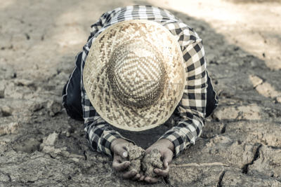Man on a drought-stricken land in hopes of recovering, Drought crisis concept.