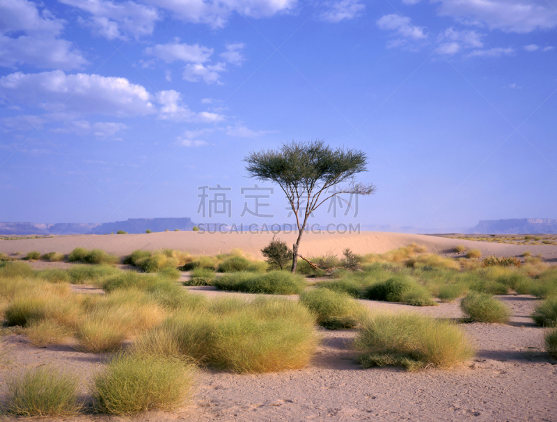 沙漠绿洲,中东人,沙漠,马里卜,也门,天空,水平画幅,山,沙子,蓝色