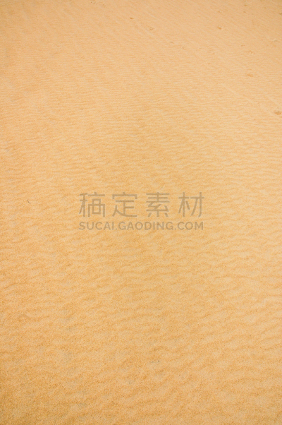 乔基山脉州立公园,自然,垂直画幅,北卡罗来纳,州立公园,美国,沙子,无人,户外,老马海滩