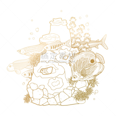 礁石,水族馆,鱼类,插画,龙鱼,珊瑚礁,金鱼,鱼缸,绘画插图,水