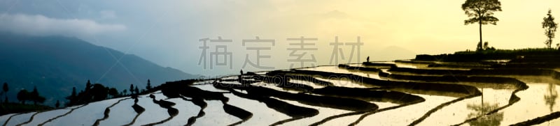 田地,越南,季节,稻,梯田,mud pot,白族,查济,弯曲,浇水