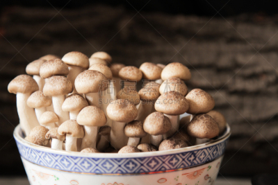 姬菇,椒类食物,日本食品,高雅,莴苣,褐色,水平画幅,形状,小的,素食