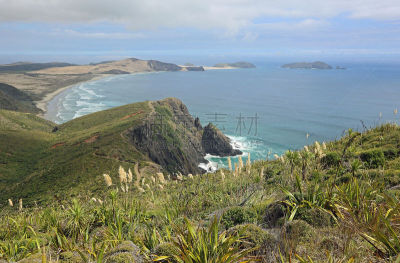 cape reinga,小路,自然,美,悬崖,半岛,旅游目的地,水平画幅,地形,沙子