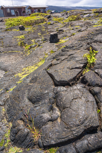 熔岩,夏威夷大岛,路,火山口,欧洲赤松,垂直画幅,几劳亚活火山,美国,地形,岩石