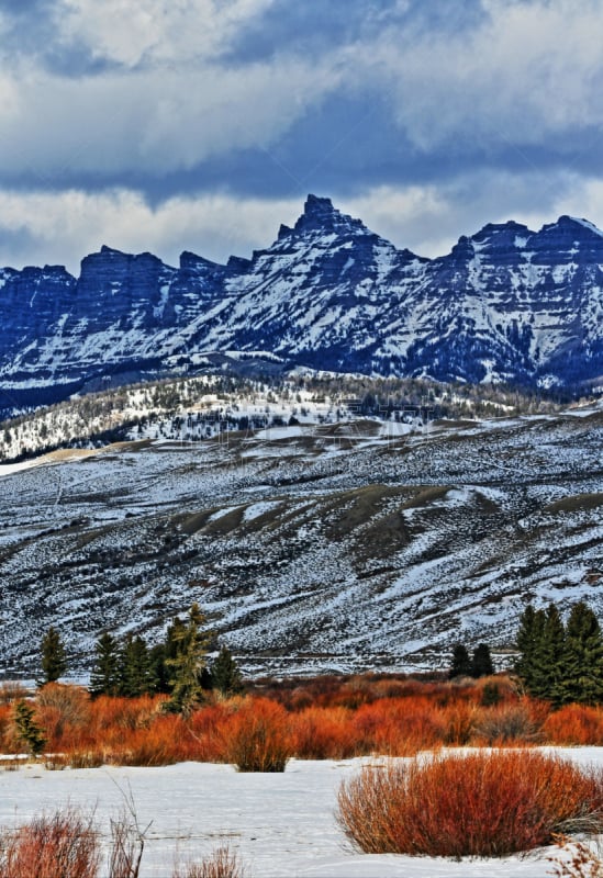 阿布萨罗卡岭山区,雪地,前面,柳树,杜波伊斯,风河系统公司,布里杰山脉,枭雄国家森林公园,杰克逊,杰克森