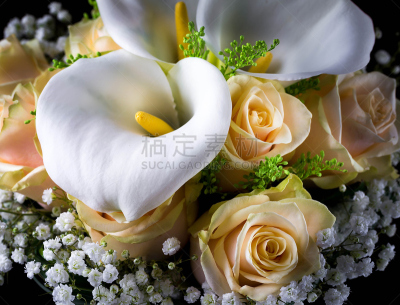 新娘,花束,黄色,玫瑰,自然,水平画幅,传统服饰巴纳德,浪漫,婚礼,婚姻