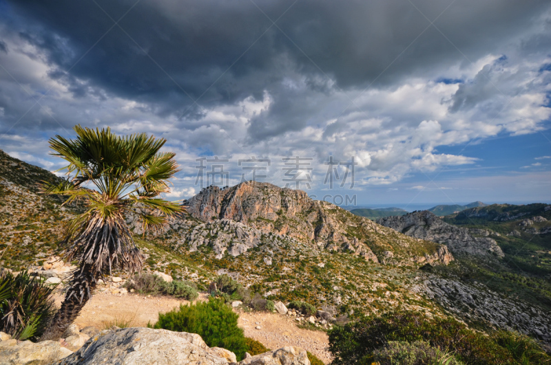 地形,水平画幅,岩石,山,无人,sierra de tramuntana,马略卡,户外,棕榈树,岛