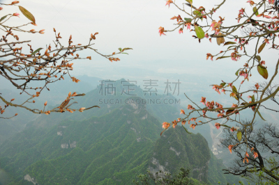 张家界,山脉,中国,圣战,马德里省,面向陆地,湖南省,江苏省,多云,地平面