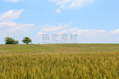 云,天空,山,蓝色,农业,草坪,云景,图像处理,简单,草