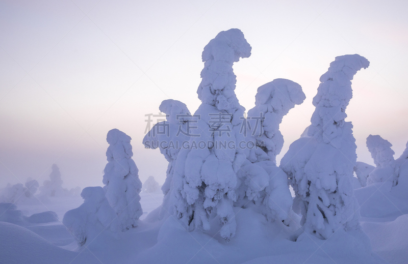 拉普兰,自然,冻原,生态旅游,天空,气候,水平画幅,山,雪,无人