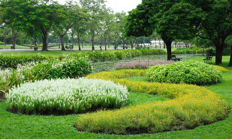 公园,色彩鲜艳,水平画幅,夏天,户外,草,花园路,小路,花头,床