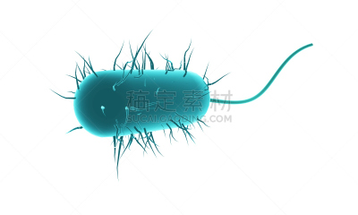 细菌,三维图形,蓝色,分离着色,显微镜,水平画幅,微生物学,科学,生物学,枯草芽孢杆菌