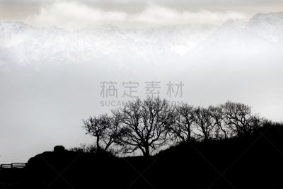 林荫大道,奥林匹克山脉,奥林匹克山,太平洋海岸山脉,温哥华岛,自然,水平画幅,地形,无人,维多利亚