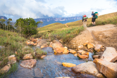 罗赖马山,平顶山区,罗赖马州,平顶山,canaima,委内瑞拉,南美,水平画幅,无人,户外