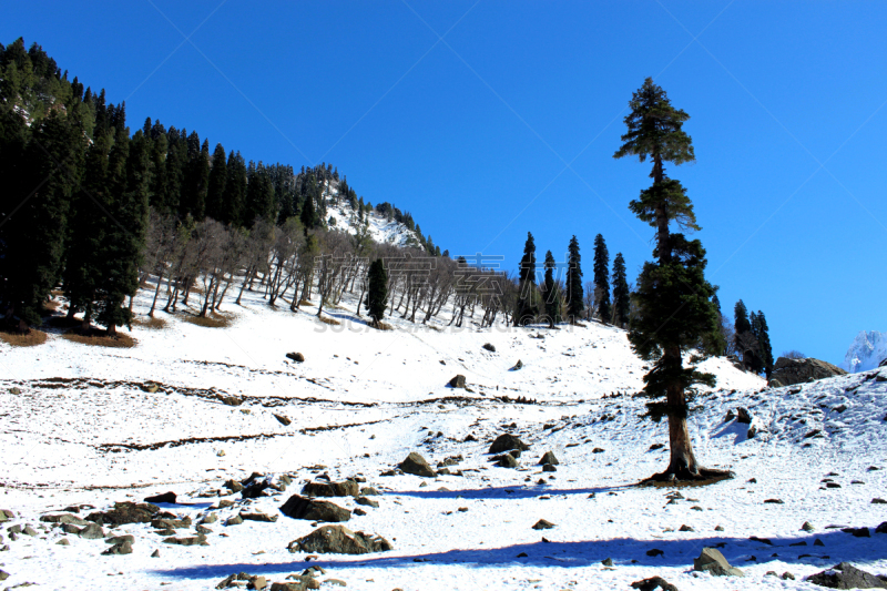 雪,冬天,印度,山谷,山,索马,查谟和克什米尔,天空,气候,旅行者