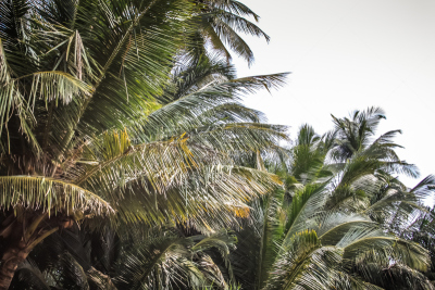 GOKARNA BEACH