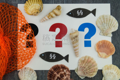 Viele Gesetze und Verordnungen regeln den Fang von Fischen und Muscheln in der europäischen Gemeinschaft