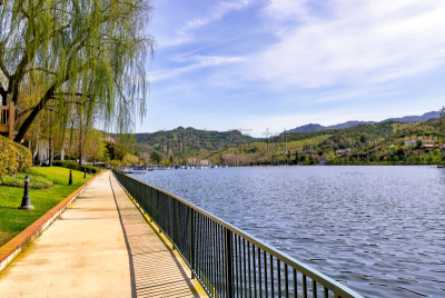 湖,风景,南加利福尼亚,西湖村,水,天空,美,美国西部,柳树,水平画幅