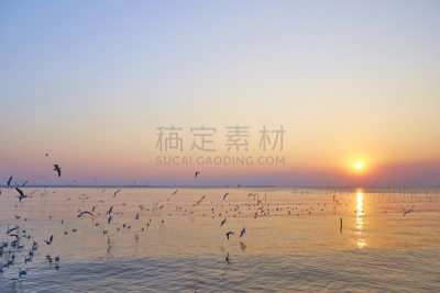 海鸥,戏剧性的天空,海洋,云景,热带气候,云,泰国,黄昏,鸟类,海滩度假