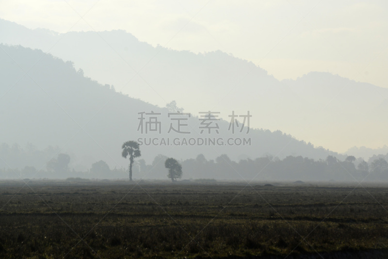 缅甸,亚洲,丹老,自然,田地,丹老群岛,水平画幅,无人,户外,摄影