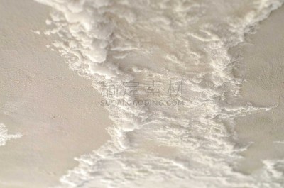 霉病,研磨食品,白色,农业,湿,风险,风,环境,哮喘,病原