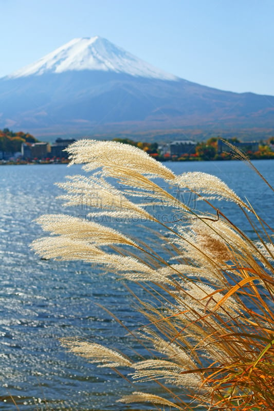 富士山,河口湖,自然,垂直画幅,地形,无人,火山地形,日本,户外,城市