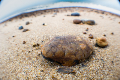 褐色,英格兰,东,海洋,巨大的,黄石公园,黑色,水平画幅,沙子,黑秧鸡
