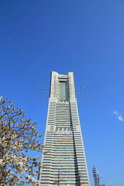 横滨地标大厦,神奈川县,日本,樱桃树,横滨高速铁路,横滨,郊区,垂直画幅,办公室,天空