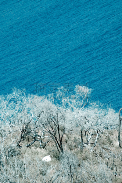 红外摄影,海洋,海岸线,垂直画幅,水,林区,无人,海岸地形,户外,彩色图片