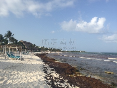 夏天,墨西哥,海草,海洋,爱库马尔,固体,早晨,地形,户外,蓝色