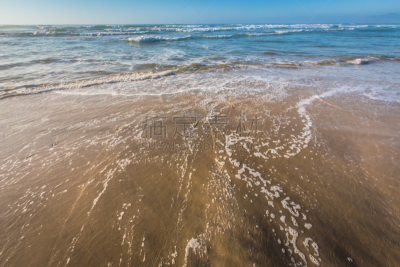 河流,动物嘴,水平画幅,鸟类,夏天,户外,滨水,祖鲁族,喙,夸祖鲁-纳塔耳