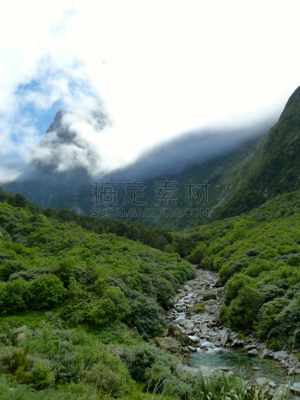 山脉,云,milford track,勒马前行,自然,垂直画幅,枝繁叶茂,夏天,户外,野生植物