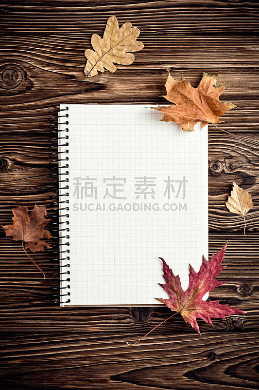 空白的,秋天,笔记本,背景,垂直画幅,留白,褐色,边框,高视角,纹理效果