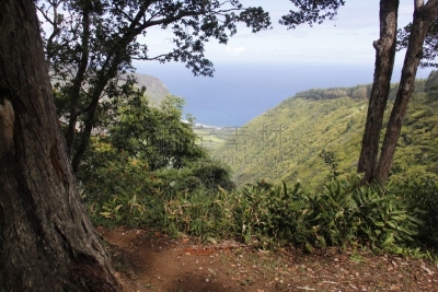 威毕欧山谷,夏威夷大岛,自然,旅游目的地,水平画幅,无人,太平洋岛屿,户外,海洋,海岸线