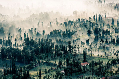 早晨,山,雾,乡村,森林,婆罗摩火山,塞梅鲁火山,滕格尔火山,bromo-tengger-semeru national park,东爪哇