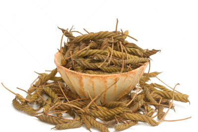 干的,螺丝,印度人,草药,自然,褐色,煮食,水平画幅,易接近性,根部