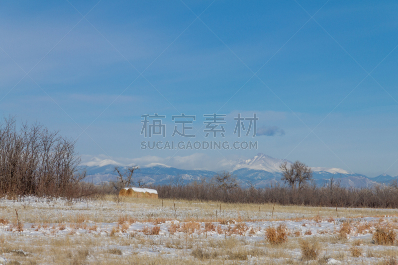 朗斯峰,洛基山国家野生动物保护区,风景,寒冷,环境,橙色,雪,草,植物,背景