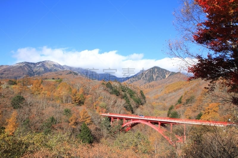 叶子,秋天,清里明良,桥,东河,天空,里山,水平画幅,无人,银杏