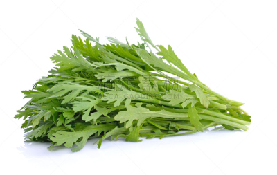 菊花,白色背景,分离着色,炖锅,水平画幅,素食,特写,日本料理,怀石料理,清新