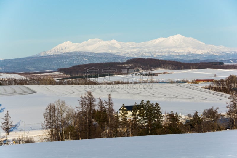 雪,春天,冬天,田地,山,农业,贺卡,旭岳火山,深雪,背景