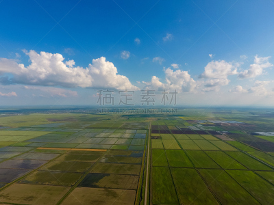 水,稻田,田地,水灾,稻,公亩,栽培植物,运河,湖,都市风景