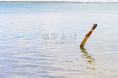杆,水,跨海公路,墨西哥湾,佛罗里达群岛,红树,主干路,旅途,热带气候,佛罗里达